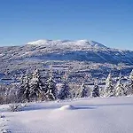 Trysil-knut