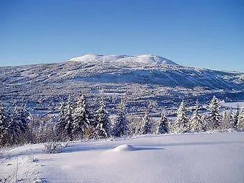 Trysil-knut